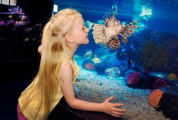 sea life