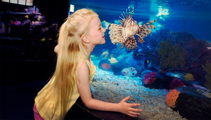 sea life