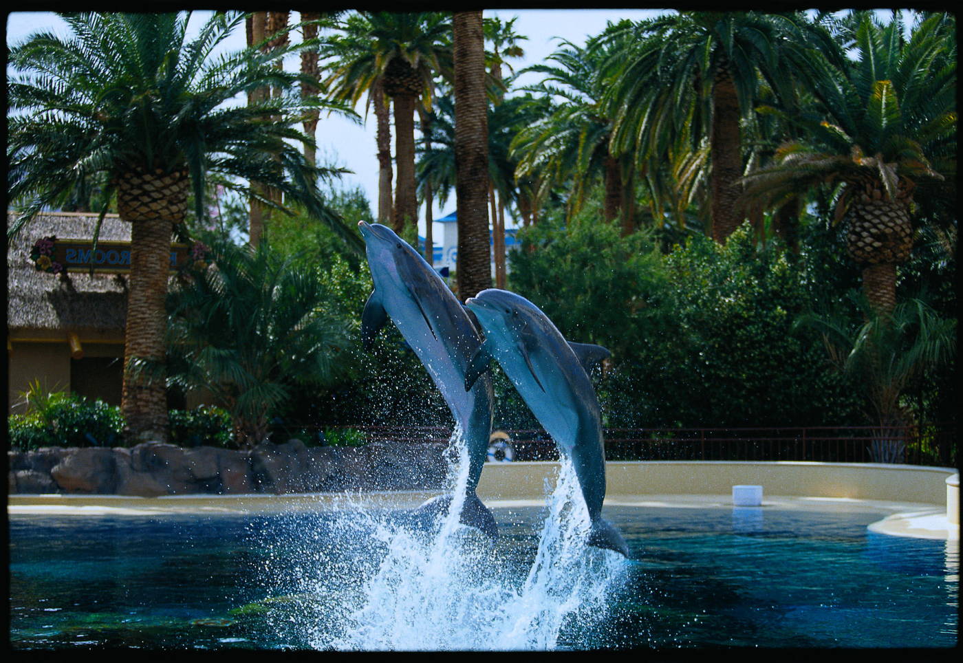 Siegfried & Roy's Garden & Dolphin Habitat Las Vegas