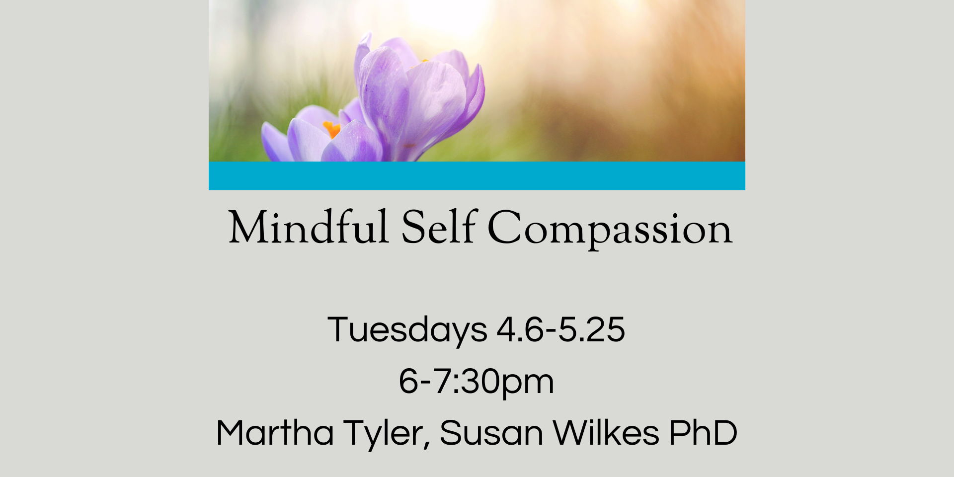 Mindful Self Compassion promotional image