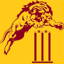 West Newport CC logo