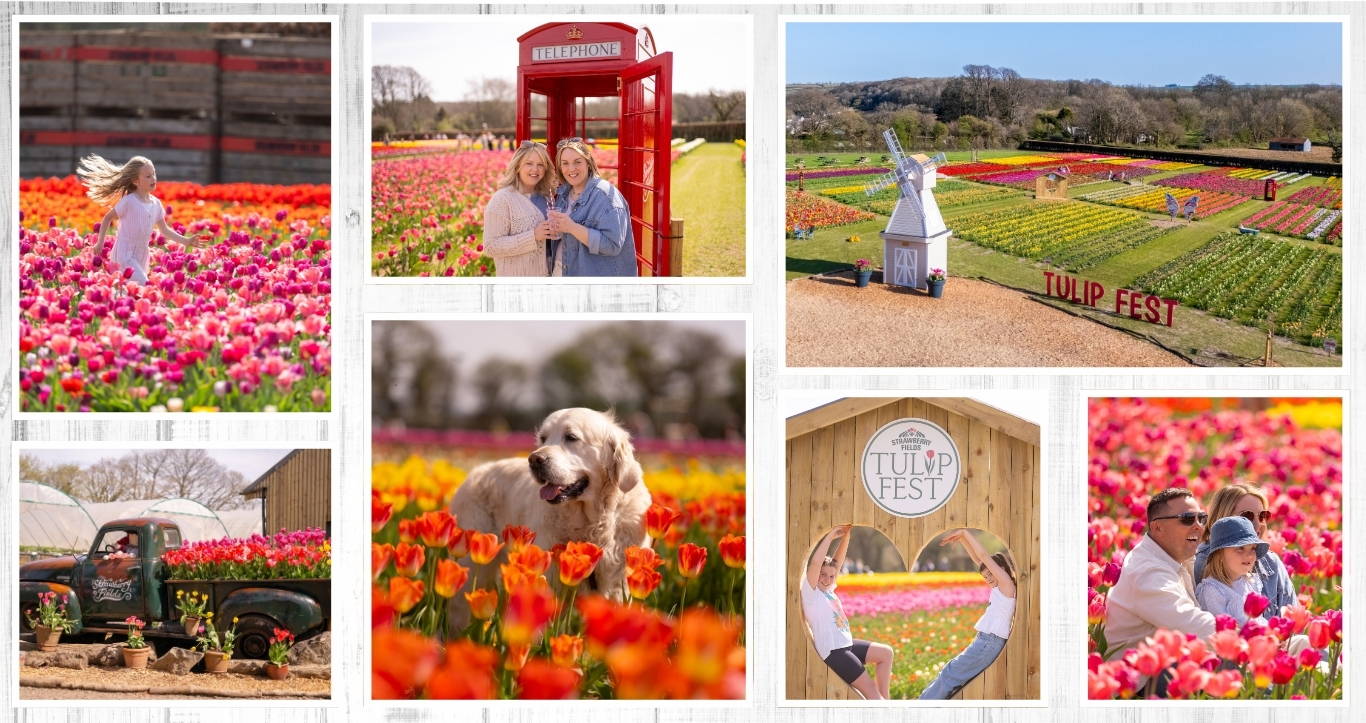 Discover the biggest and best pumpkin festival in Devon & Cornwall, and South West! Pumpkin Fest at Strawberry Fields is the ultimate family day out with a huge pumpkin patch, pumpkin picking, maize maze, barrel train rides, photo spots, tasty autumn treats & fun for all ages. Book now!