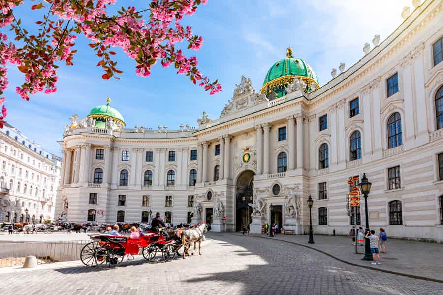 Train Transfer to/from Vienna Center - photo 2