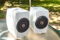 Technics SB-C700 White speakers - Like NEW! 6