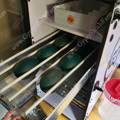 emu_hatching_eggs_incubator