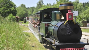 schloss thurn dampfrosseisenbahn