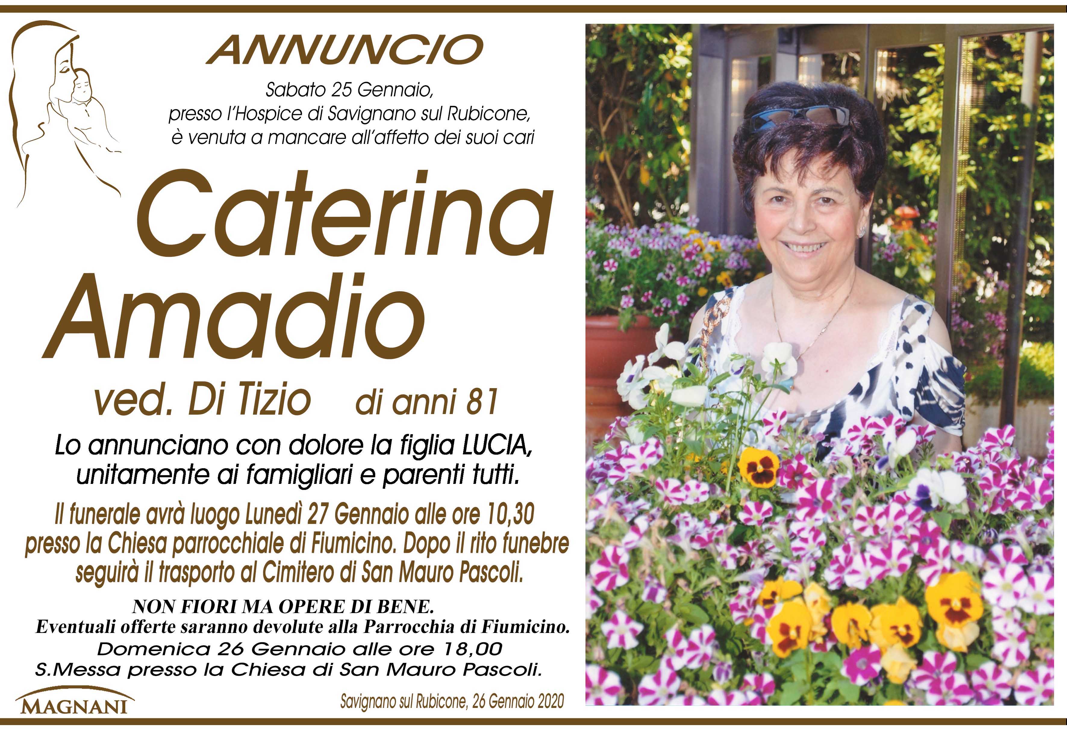 Caterina Amadio