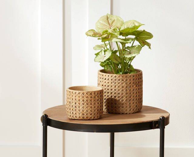 Ceramic Caning Containers for Plants or Floral Arrangements
