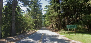 Redwood Twistys  near Cupertino, CA