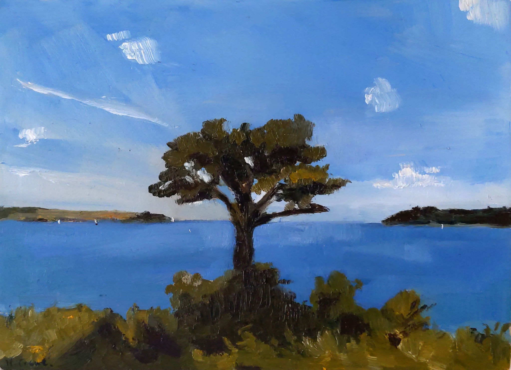 painting of tree and river mouth