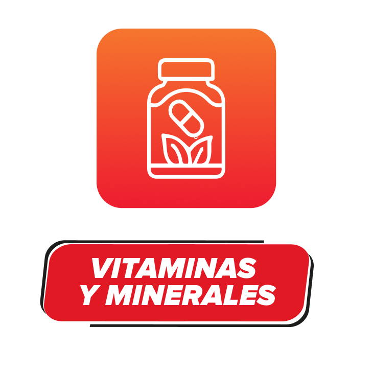 VITAMINAS Y MINERALES