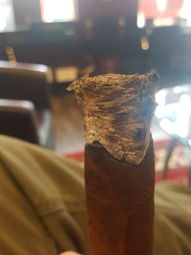Cigar Session Photo