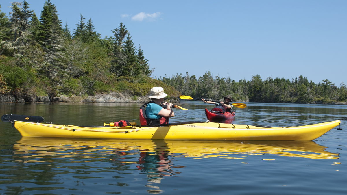 Pleasant Paddling Sea Kayaking Basics Full Day