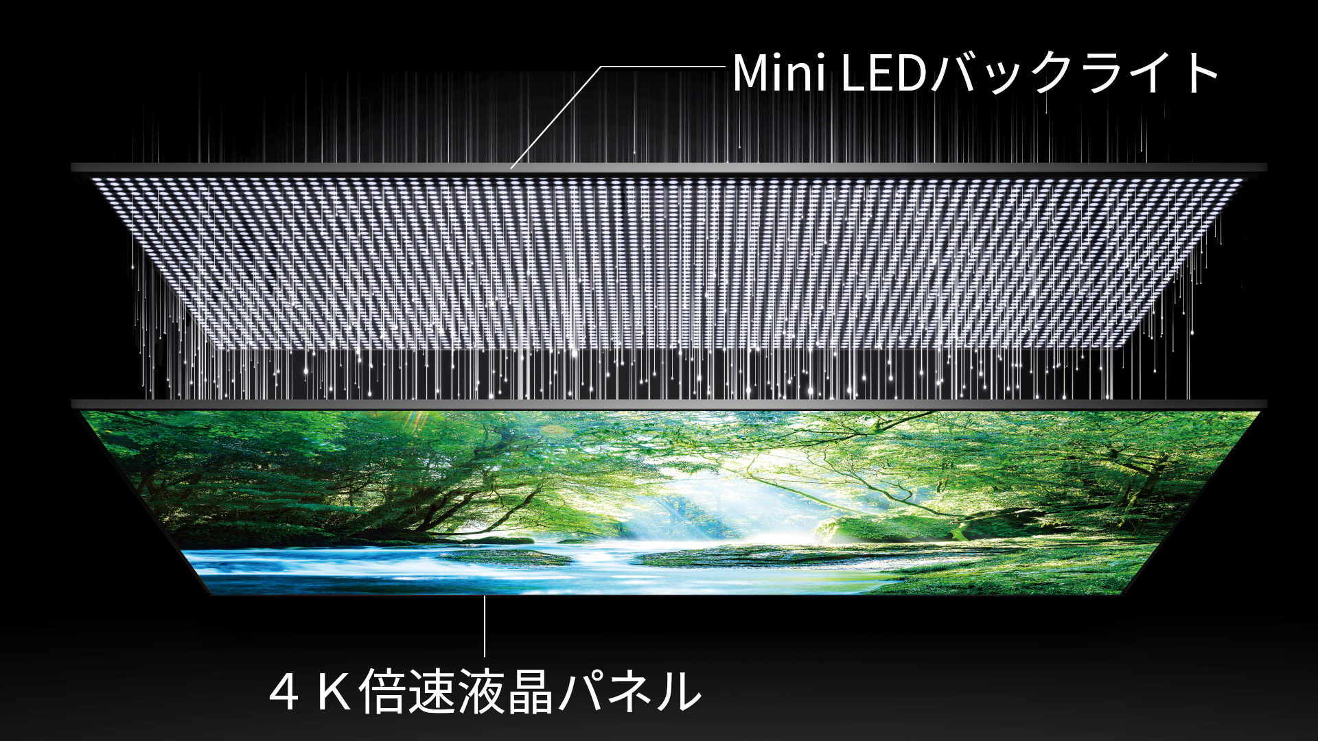 Mini LED 液晶パネル