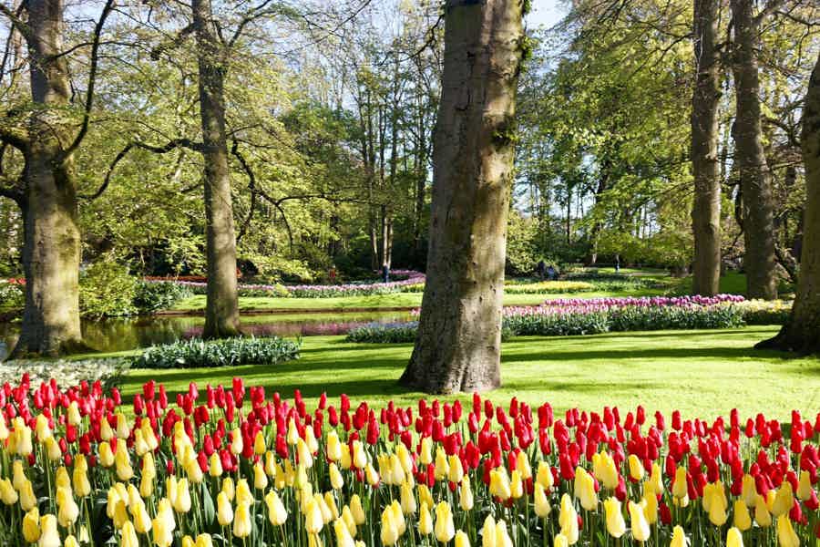 Amsterdam: Keukenhof Entry Ticket & Shuttle Bus - Flexible Return - photo 5