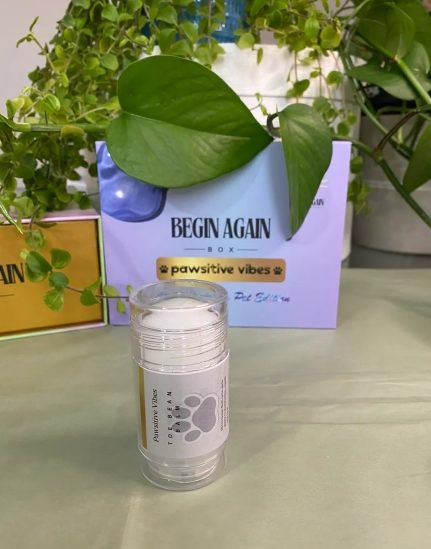 Pawsitive Vibes Crystal Healing Pet Edition - Image 4