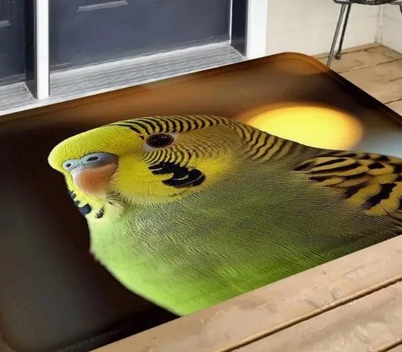 Discover the Magic of Australian-Themed Products - Image 5