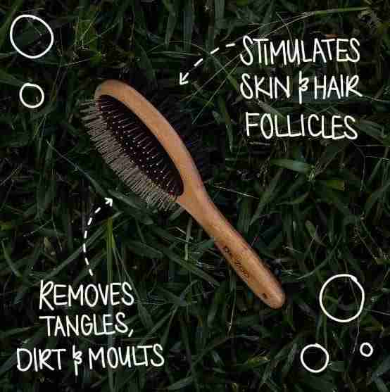 Dr Zoo Bamboo Grooming Brush - Image 2