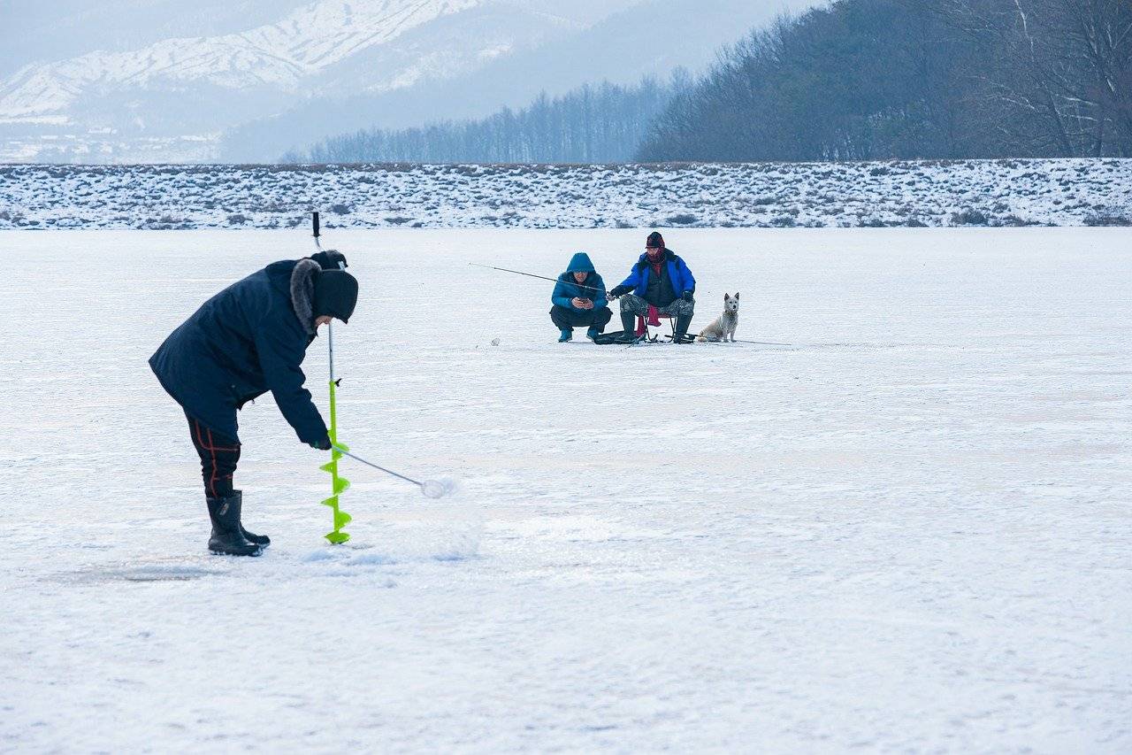 Fisch für Hunde