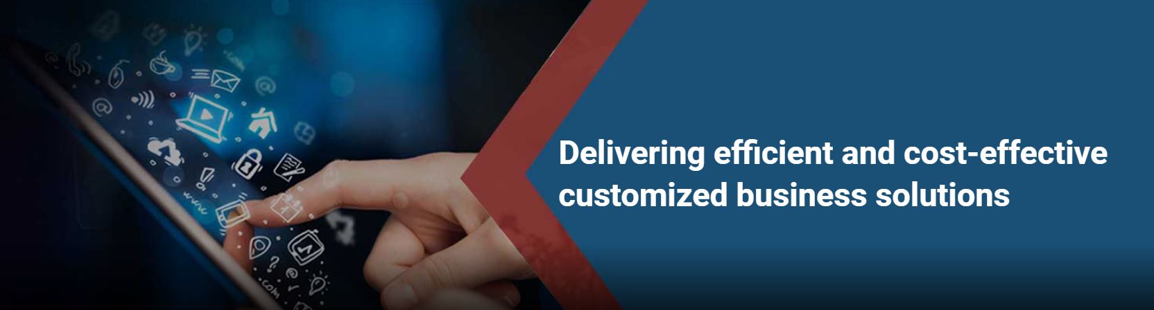 Triunity Software product / service