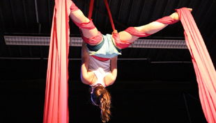 diezirkusfabrik das vertikalband