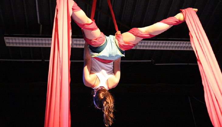 diezirkusfabrik das vertikalband