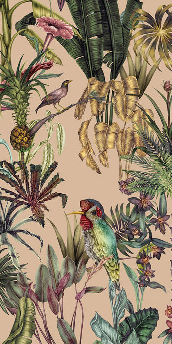 orange exotic tropical bird wallpaper pattern image