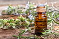 Rosemary Essential Oil Has High Antibacterial Properties