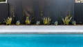 Poolside garden spike lighting at Westbourne SA residence
