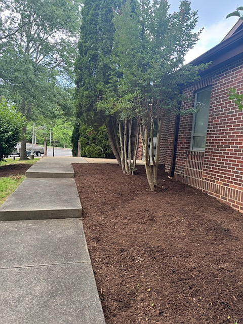 Perennial Garden Bed with Mulch Installation