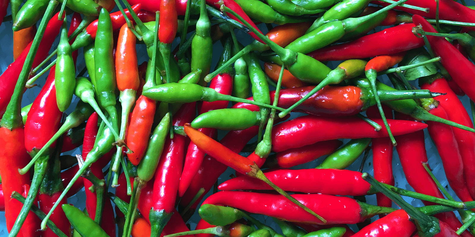 Red and green bird’s eye chilis placed in a blue basket.