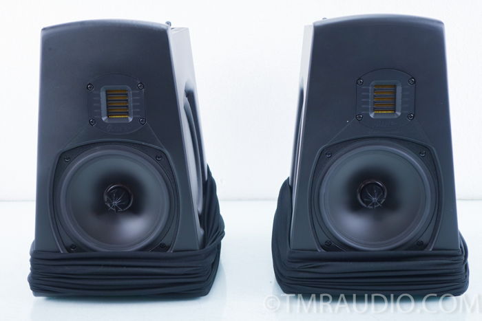 GoldenEar Technology Aon 3 Speakers; Pair ( 9670 )