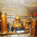 Salle de distillation avec les alambics Pot Stills de la distillerie Dornoch dans le nord-ouest des Highlands d'Ecosse