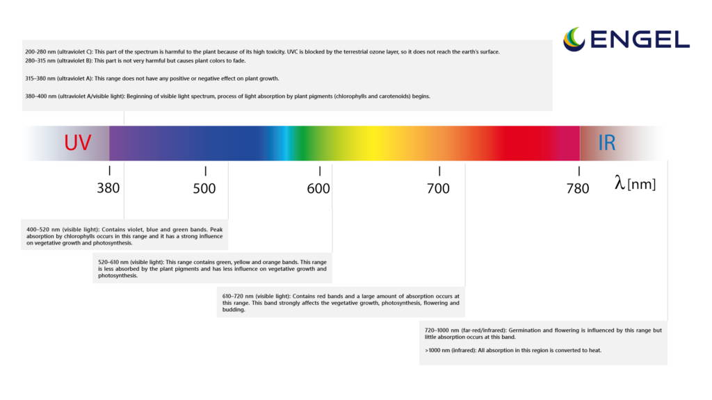Lichtspektrum Pflanzenwachstum