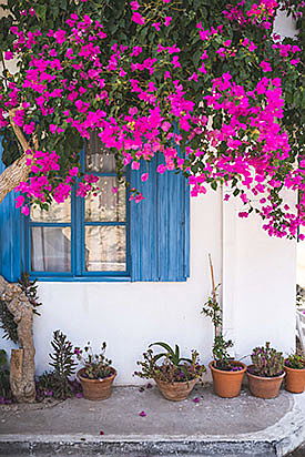  Cannes
- Vendre son bien immobilier au printemps