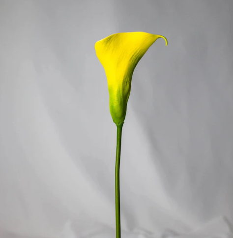 Bright Yellow Small Calla Lily - Realistic Artificial Flowers - Image 3