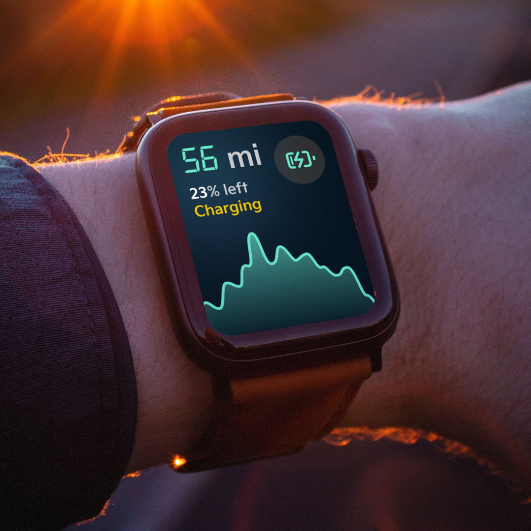 Image of Kia E - Niro Smart Watch OS