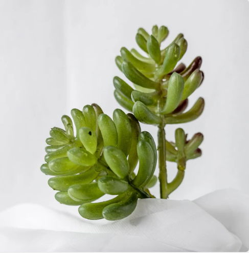 Stone Lotus Succulent (6 Pack) - Realistic Artificial Flowers and Greenery - Image 2