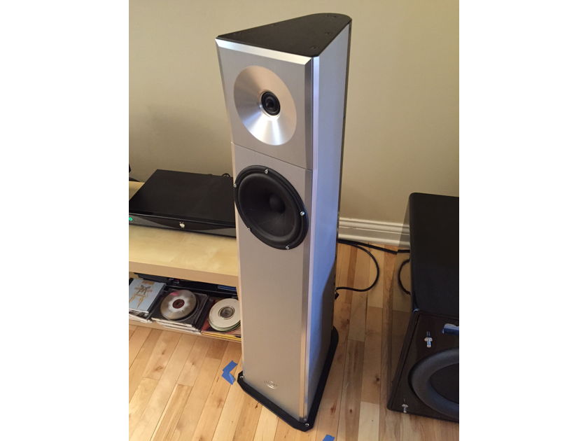 YG Acoustics Carmel in Silver Excellent Condition