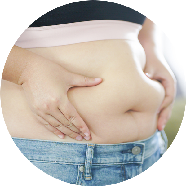 Enlarged belly as a potential sign of liver stress that may be supported with a milk thistle supplement.