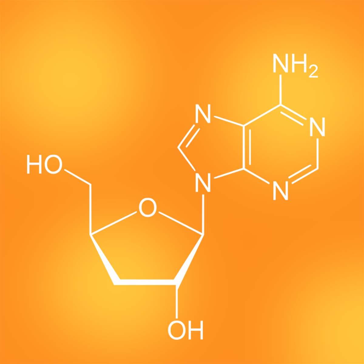 cordyceps