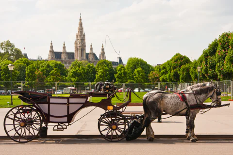 Sacher cake and Fiakker ride - a private Vienna tour with guide
