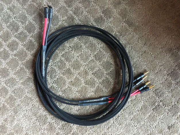Audience Au 24 'e' - 4.0M Bi-wire Speaker Cable