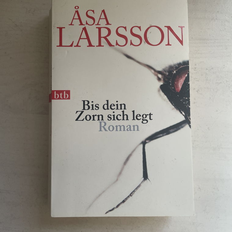 Bis dein Zorn sich legt (Roman) åsa Larsson