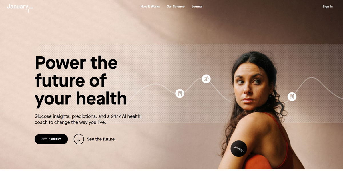 Screenshot of January AI, from the saas websites collection.
