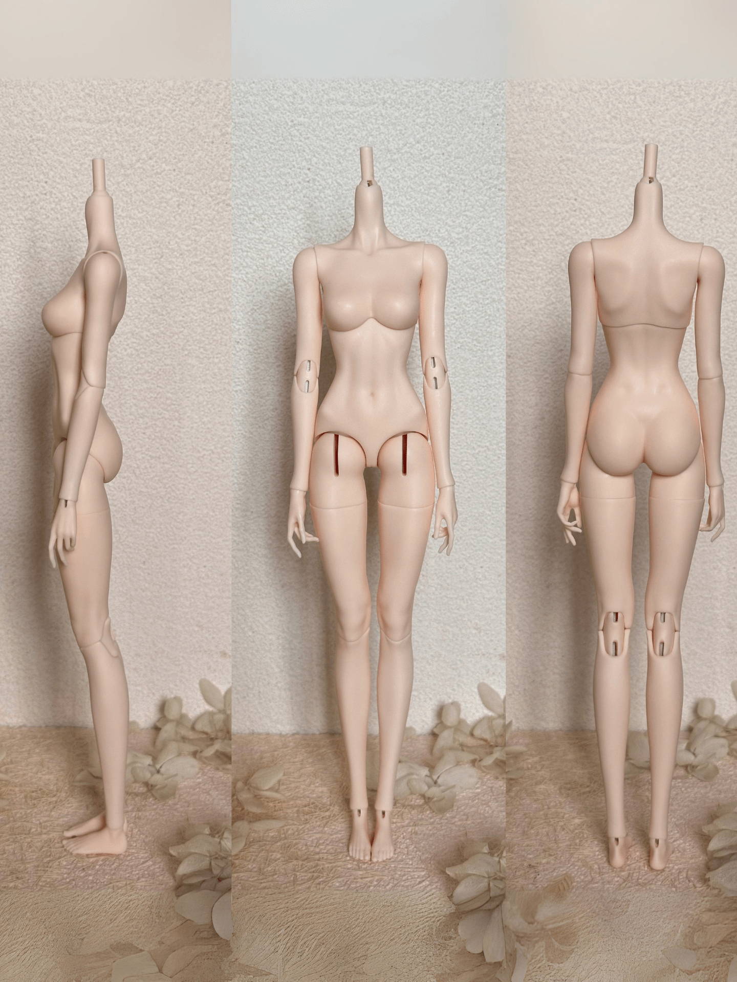 1/6 female BJD body