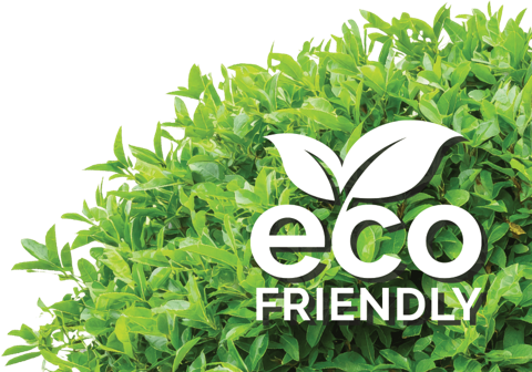 Eco Friendly