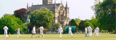 Theale & Tilehurst Cricket Club Logo