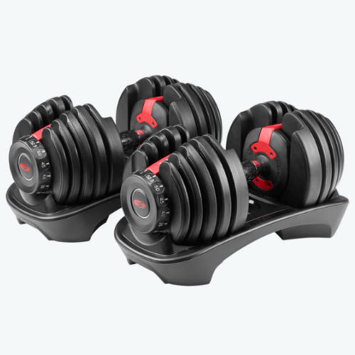 Bowflex dumbbells