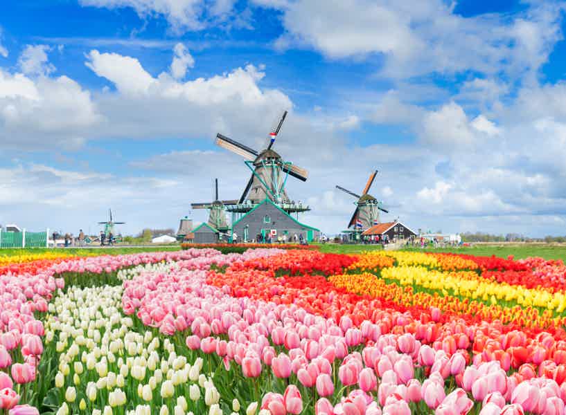 Zaanse Schans Windmills, Clogs and Dutch Cheese Small-Group Tour  - photo 1